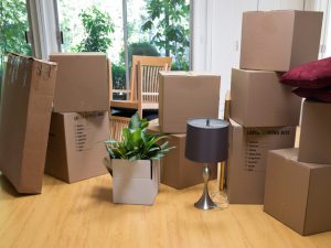 movers mount vernon ny