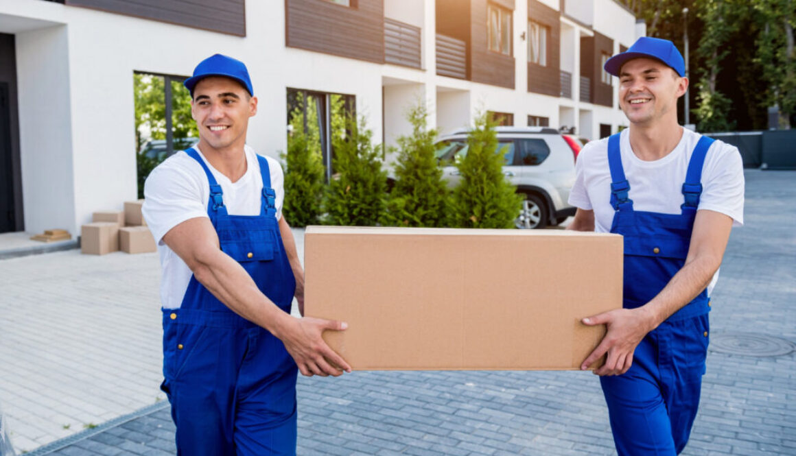 Mount Vernon movers