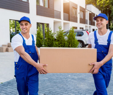 Mount Vernon movers